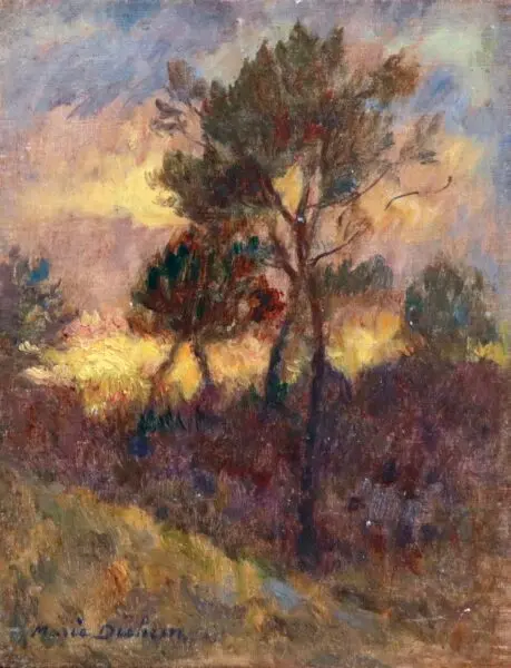 Sunset through the Trees - Buy Fine Paintings Online