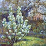 Fleurs colorées thumbnail