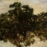 Reflections thumbnail