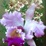 Flowers thumbnail