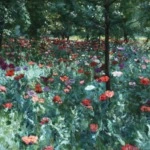 Poppy Field – Flanders 1917 thumbnail