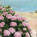 Hortensias on the Coast thumbnail
