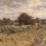 Droving Sheep thumbnail