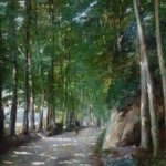 Walk in the Forest thumbnail