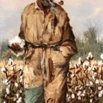A Cotton Picker thumbnail