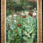 Coquelicots thumbnail