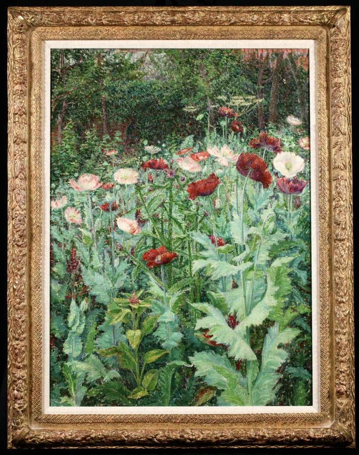 Coquelicots - Buy Fine Paintings Online