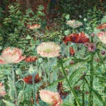 Coquelicots thumbnail