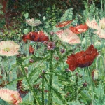 Coquelicots thumbnail