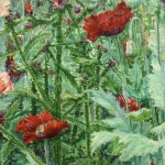 Coquelicots thumbnail