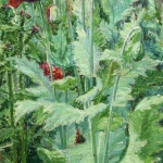 Coquelicots thumbnail