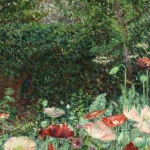 Coquelicots thumbnail