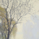 Reflections thumbnail