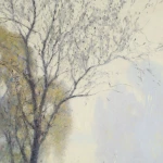 Reflections thumbnail