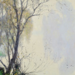 Reflections thumbnail