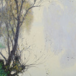 Reflections thumbnail