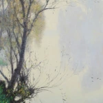 Reflections thumbnail