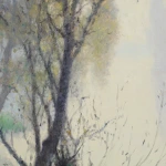 Reflections thumbnail