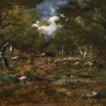 Clairière avec rochers – Le Soir thumbnail