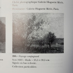 Paysage Campagnard thumbnail