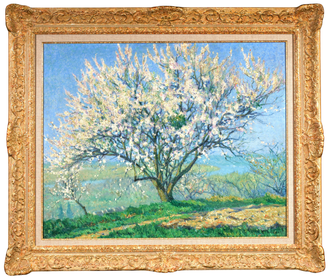 Amandier - Buy Fine Paintings Online