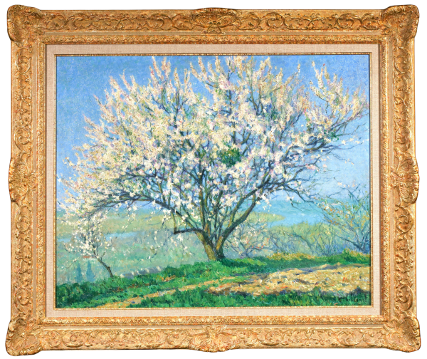 Amandier - Buy Fine Paintings Online