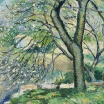 Amandiers en fleurs – Carei, Menton thumbnail