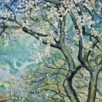 Amandiers en fleurs – Carei, Menton thumbnail