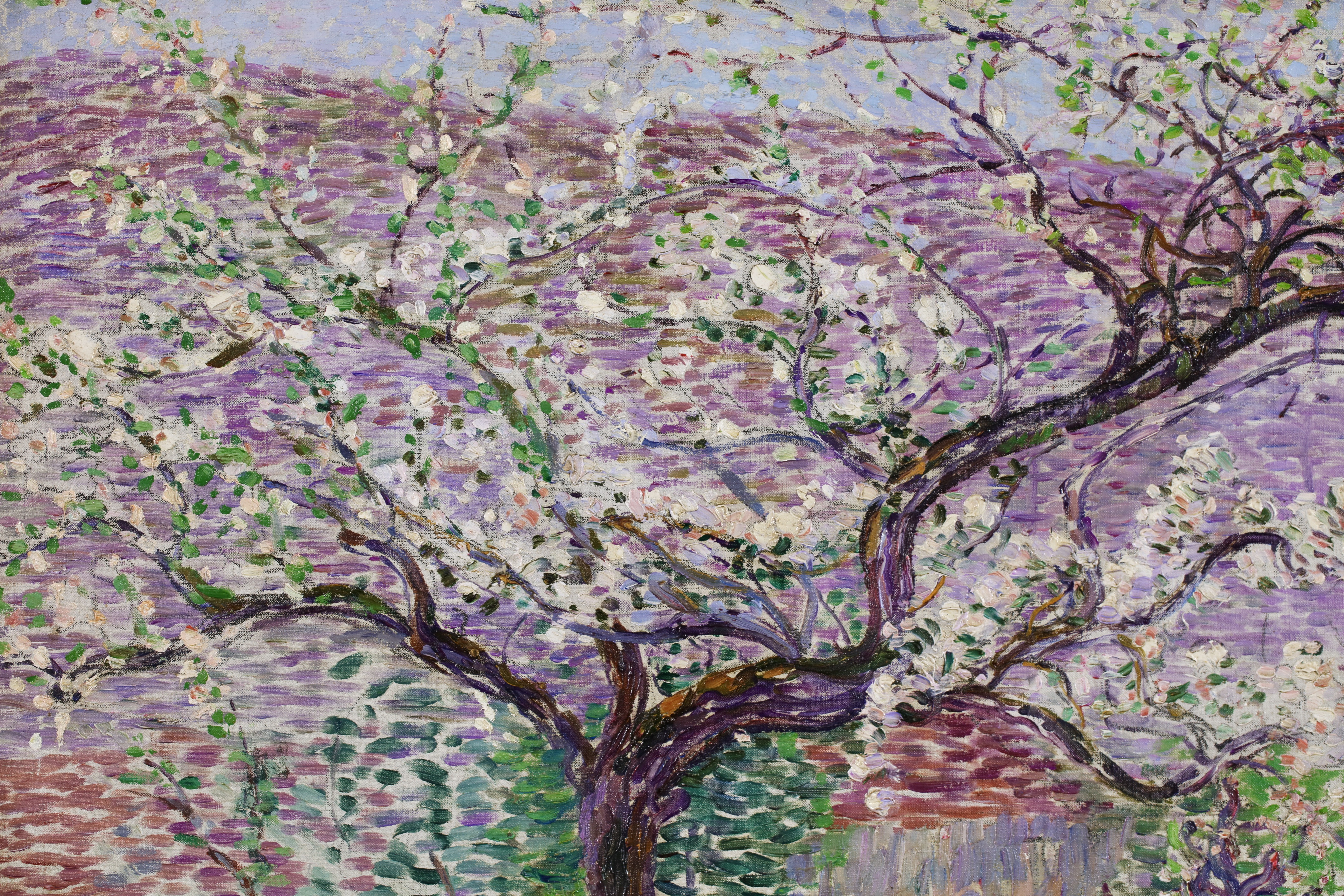 Buy Pommiers en fleurs Painting at Leighton Fine Art