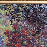Le Parc Borely en Automne – Marseille thumbnail