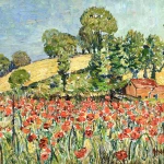 The Poppyfields thumbnail