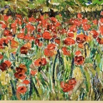 The Poppyfields thumbnail