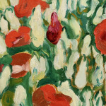 Coquelicots thumbnail