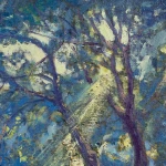 Sunlight thorugh the trees thumbnail