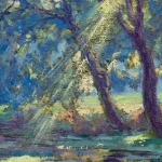 Sunlight thorugh the trees thumbnail