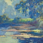 Sunlight thorugh the trees thumbnail