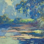 Sunlight thorugh the trees thumbnail