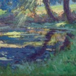 Sunlight thorugh the trees thumbnail