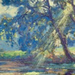 Sunlight thorugh the trees thumbnail
