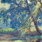Sunlight thorugh the trees thumbnail
