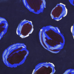 Projet de Tissus thumbnail