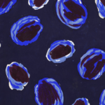 Projet de Tissus thumbnail