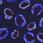 Projet de Tissus thumbnail