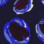 Projet de Tissus thumbnail