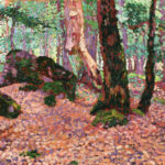 La Forêt d’Ecouves – Automne thumbnail