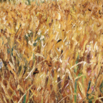 Champ de blé thumbnail