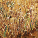 Champ de blé thumbnail