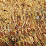 Champ de blé thumbnail