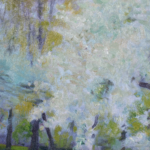 Cerisiers en fleurs – Grez-sur-Loing thumbnail