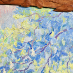 Paysage au bord du lac thumbnail